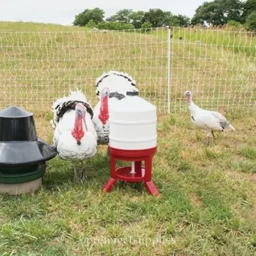 Premier 1 PoultryNet+ Electric Net Fence for Chickens