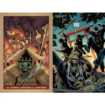 Teenage Mutant Ninja Turtles Last Ronin--Lost Years Book