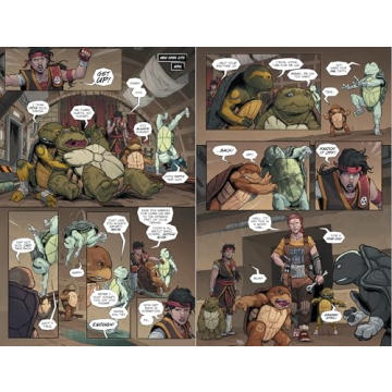 Teenage Mutant Ninja Turtles Last Ronin--Lost Years Book