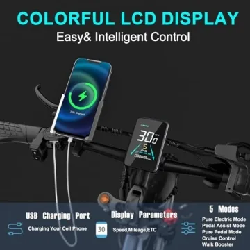 DAMSON Electric Bike 1000W with 120 Miles Range