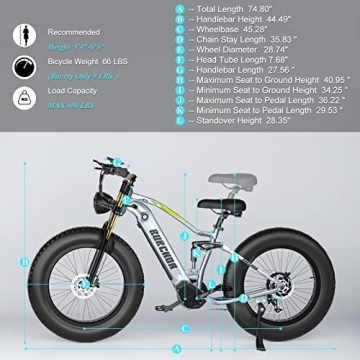 DAMSON Electric Bike 1000W with 120 Miles Range