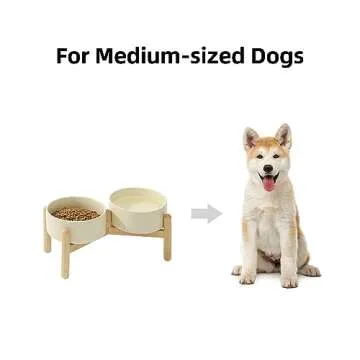 Havniva Ceramic Raised Dog Bowl with Stand for Small and Medium Breed Dog Dish Pet Food and Water Bowl (Double Bowl with Stand - Beige, 6" D)