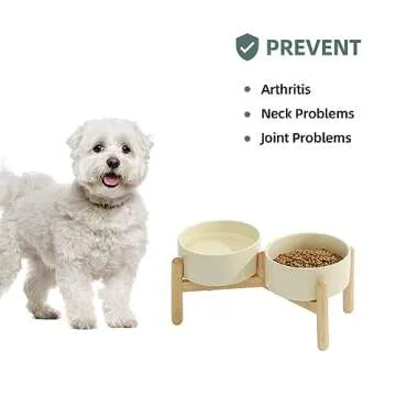 Havniva Ceramic Raised Dog Bowl with Stand for Small and Medium Breed Dog Dish Pet Food and Water Bowl (Double Bowl with Stand - Beige, 6" D)