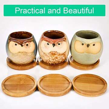 FairyLavie 2.5 Inch Plant Saucers, Succulent Pots Trays Round, Little Pots Holder Drainage Tray for Most Small Plant Pot Flower Pot, Set of 6