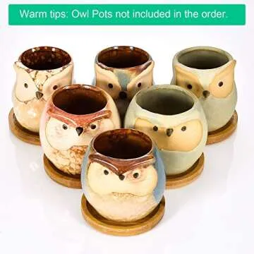 FairyLavie 2.5 Inch Plant Saucers, Succulent Pots Trays Round, Little Pots Holder Drainage Tray for Most Small Plant Pot Flower Pot, Set of 6