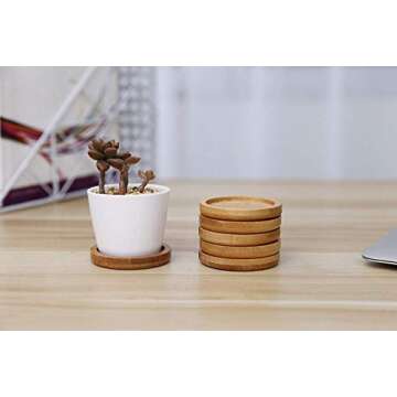 FairyLavie 2.5 Inch Plant Saucers, Succulent Pots Trays Round, Little Pots Holder Drainage Tray for Most Small Plant Pot Flower Pot, Set of 6