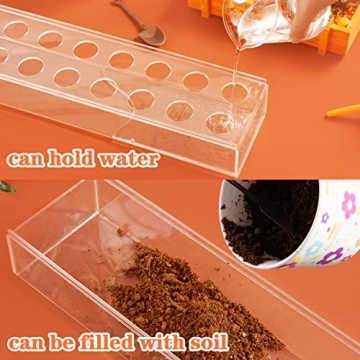 Clear Rectangular Flower Vase - Elegant Centerpiece Decor