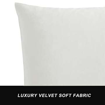 GIGIZAZA White Velvet Decorative Throw Pillow Covers for Sofa Bed 2 Pack Soft 20x20 Cushion Covers