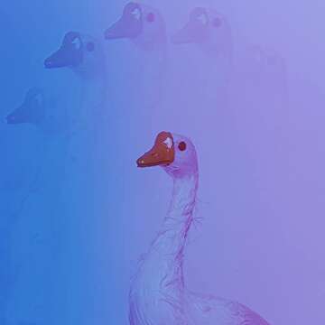 KOGJAERS Kaleidoscope Lens Filter 82mm Camera Effect Filters Fractal Photography for Photography Creation Repeating Subjects - Perfect Photographer Gift