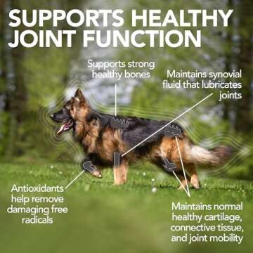 Vet's Best Advanced Hip & Joint Dog Supplements | Formulated with Glucosamine and Chondroitin to Support Dog Joint and Cartilage Health (3165810242)