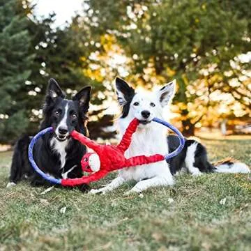 Durable ZippyPaws RopeTugz Monkey Dog Toy for All Breeds