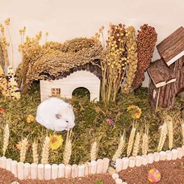 LUVCOSY Hamster Organic Sprays Set = Wheat + Flax + Yellow Millet + Panicle Millet + Corn Cob + White/Red Sorghum Stems, Pet Habitat Bedding Decor Accessories for Hamsters