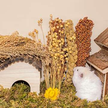 LUVCOSY Hamster Organic Sprays Set = Wheat + Flax + Yellow Millet + Panicle Millet + Corn Cob + White/Red Sorghum Stems, Pet Habitat Bedding Decor Accessories for Hamsters