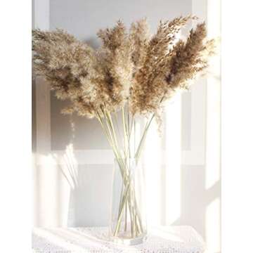Fashion nan Home Decoration 20Pcs Bulrush Natural Dried Small Pampas Grass Phragmites Home Christmas Decorative DIY Dried Flower Bouquet Flower Arrangement-As Show-