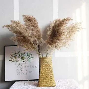 Fashion nan 20Pcs Bulrush Dried Pampas Grass for Home Decor