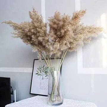 Fashion nan 20Pcs Bulrush Dried Pampas Grass for Home Decor
