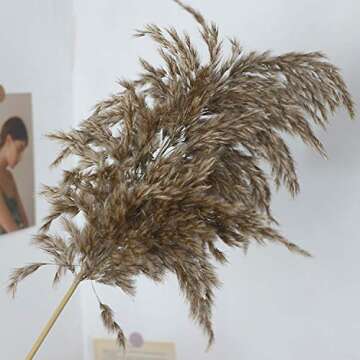 Fashion nan Home Decoration 20Pcs Bulrush Natural Dried Small Pampas Grass Phragmites Home Christmas Decorative DIY Dried Flower Bouquet Flower Arrangement-As Show-