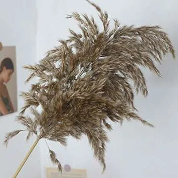 Fashion nan 20Pcs Bulrush Dried Pampas Grass for Home Decor