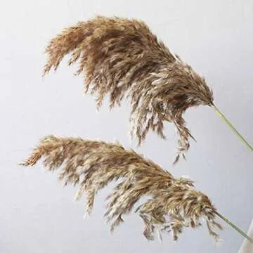 Fashion nan 20Pcs Bulrush Dried Pampas Grass for Home Decor