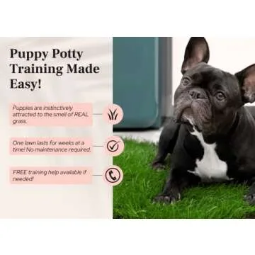 DoggieLawn Dog Potty with Real Grass - Eco-Friendly Solution
