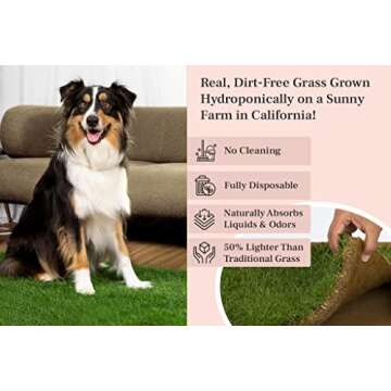 DoggieLawn Dog Potty - Real Grass - XLarge 24x48 inches