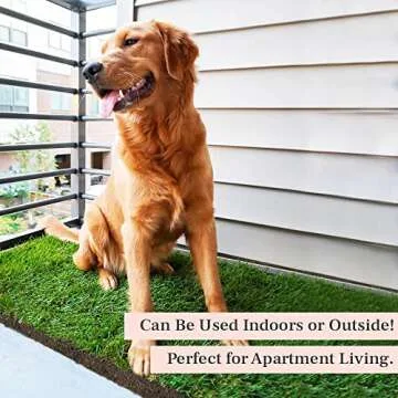 DoggieLawn Dog Potty with Real Grass - Eco-Friendly Solution