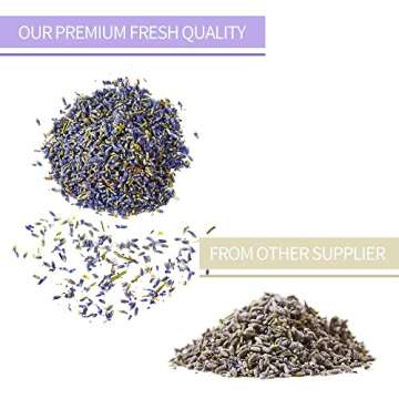 High Quality Culinary Lavender Buds for Cooking and Crafting