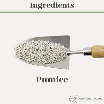 Horticultural Bonsai Pumice Soil Amendment for Bonsai and Cactus Plants, 2QT