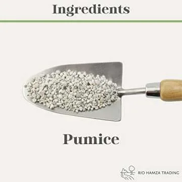 Horticultural Bonsai Pumice Soil Amendment for Bonsai and Cactus Plants, 2QT