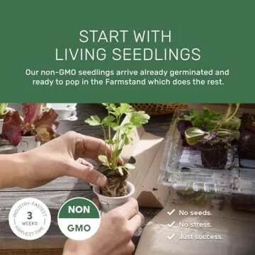 Lettuce Grow Farmstand Hydroponic System for Fresh Produce