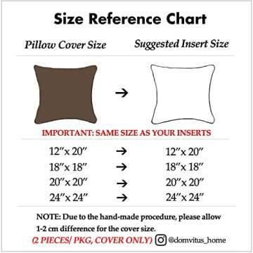 Luxury DOMVITUS Velvet Pillow Covers Set of 2 for Home