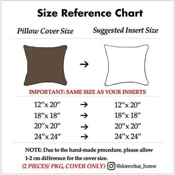 Luxury DOMVITUS Velvet Pillow Covers Set of 2 for Home