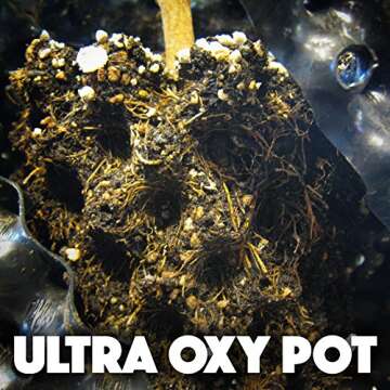Ultra Oxy Pot Indoor/Outdoor Super Air-Pruning Black Planter - 7.5 Gallon - 10-Pack