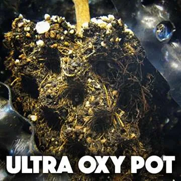 Ultra Oxy Pot Indoor/Outdoor Super Air-Pruning Black Planter - 7.5 Gallon - 10-Pack