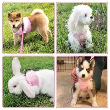 BINGPET Adjustable Reflective Cat and Puppy Harness