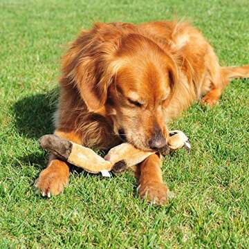 ZippyPaws Zingy Raccoon - No Stuffing Dog Toys to Keep Them Busy, for Small, Medium, & Large Dogs, Squeaky Pet Toy for Boredom, Unstuffed Chew Toy, Soft Plush Puppy Products - Pack of 3