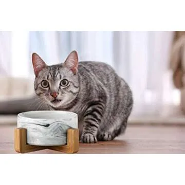 Ceramic Cat Dog Bowls with Stand - Personalized Pet Feeder for Water Food Dish - Heavy Weighted No Tip Over Non Slip Pet Comfort Feeding