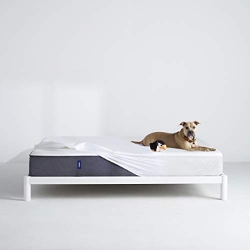 Casper Sleep Waterproof Mattress Protector for King Size