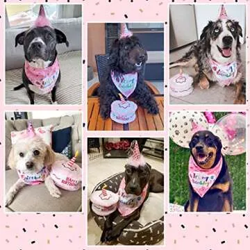 Dog Birthday Bandana Set - Cute Hat and Squeaky Cake Toy for Birthday Party Supplies Gift - Great for Small Medium Large Dogs Pink