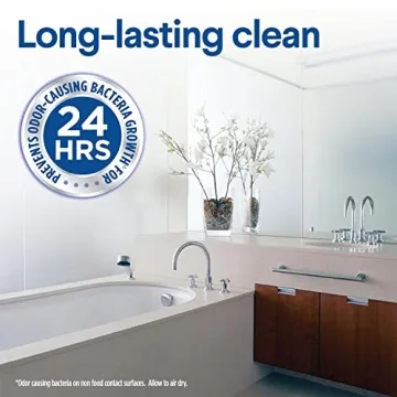 Clorox Disinfecting Wipes - Effective Cleaning on the Go