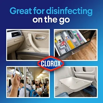 Clorox Disinfecting Wipes - Effective Cleaning on the Go