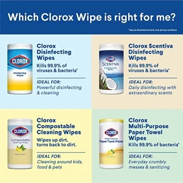 Clorox Disinfecting Wipes - Effective Cleaning on the Go