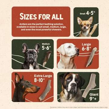 Heartland Elk Antlers for Dogs - Grade A, Naturally Shed Antlers | Dog Bones for Aggressive Chewers & Teething Puppies | All Breeds Chew Toy USA Made & Veteran Owned (Split Elk: 7", Large, 1-Pack)