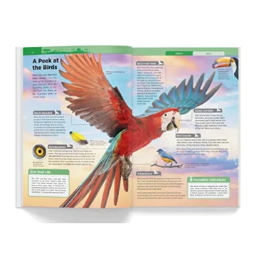 Knowledge Encyclopedia: Animals for Kids - Fun Learning