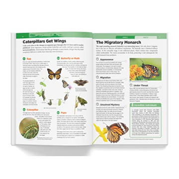 Knowledge Encyclopedia: Animals for Kids - Fun Learning