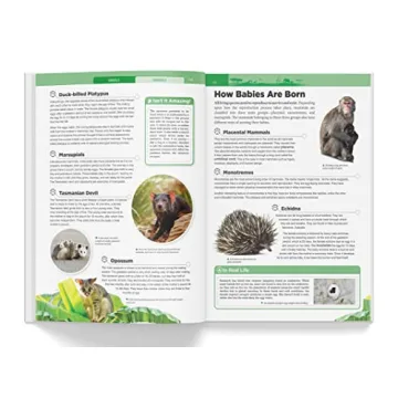 Knowledge Encyclopedia: Animals for Kids - Fun Learning