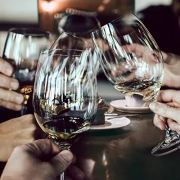 Wine Chiller, 3-in-1 Stainless Steel Wine Bottle Cooler Stick - Rapid Iceless Wine Chilling Rod with Aerator and Pourer - The Best Wine Accessories Gift