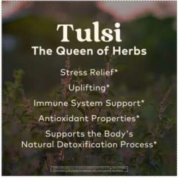 Organic India Tulsi Sleep Herbal Tea for Stress Relief & Relaxation