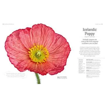 The Flower Book: Let the Beauty of Each Bloom Speak for Itself
