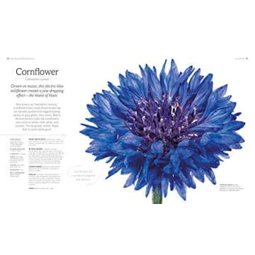 The Flower Book: Let the Beauty of Each Bloom Speak for Itself